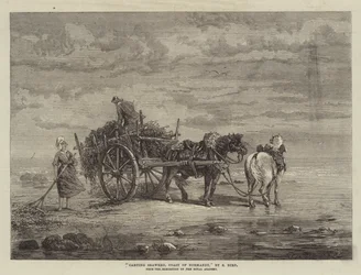Transport d